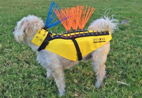 These Ingenious Spiked Dog Harnesses Protect Your Pooches Against ...