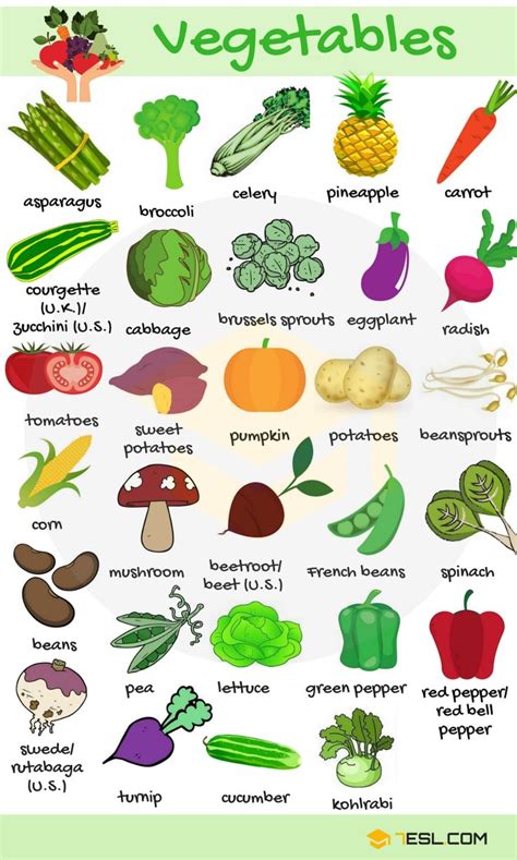 Vegetables Vocabulary in English | Name of vegetables, English ...