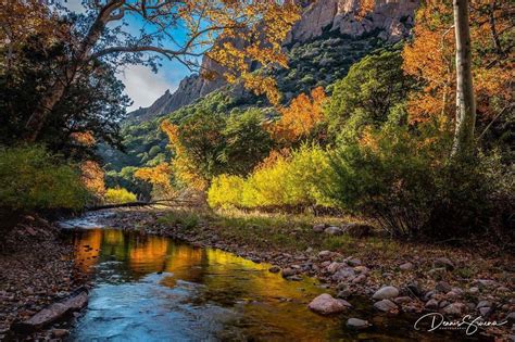 7 Arizona Autumn Photos That Will Make You Fall in Love With the State