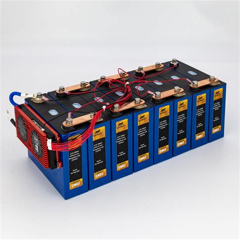 24V 100Ah LiFePO4 Prismatic Deep Cell Battery with 100A BMS – lynxbattery