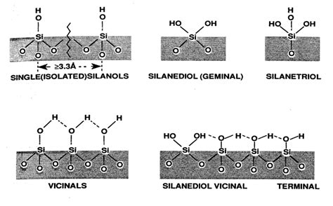 Different types of silanol groups. Reproduced from reference [15 ...