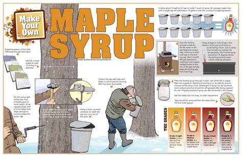 Maple Syrup Production