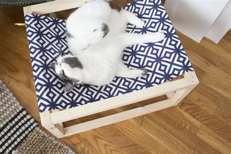 How to Make a DIY Cat Hammock