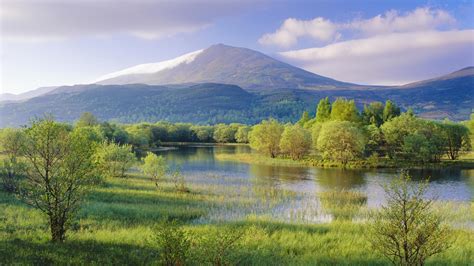 River Trees HD desktop wallpaper : Widescreen : High Definition ...