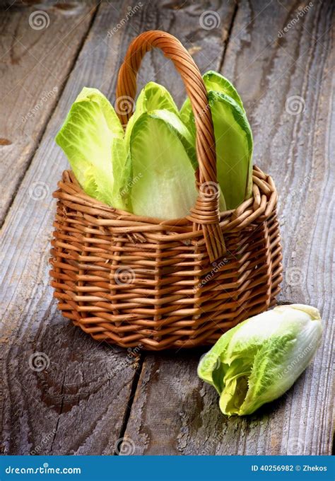 Endive Leaves stock photo. Image of crunchy, leaf, basket - 40256982