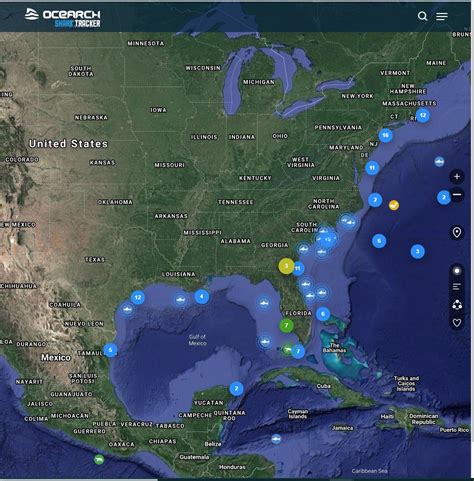 Great White Shark Tracker Shows Shark Activity In The NE Atlantic Coast ...