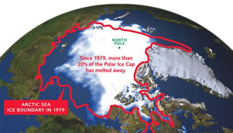 How Can You Question Climate Change Now? – Ecoble