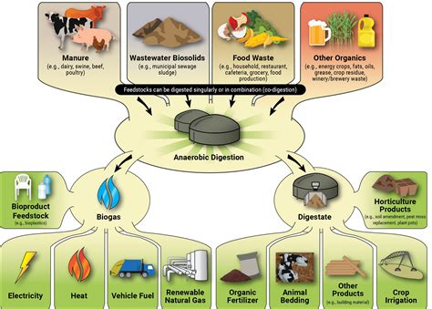 How Does Anaerobic Digestion Work? | US EPA