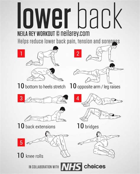 Lower Back... - Fitness | Back pain exercises, Lower back pain ...