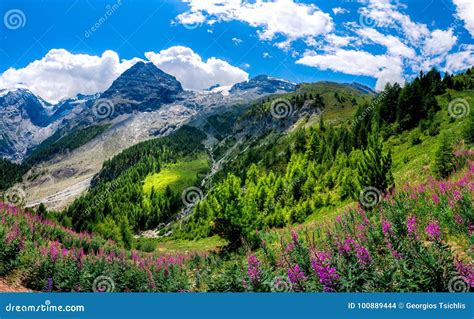 Italy, Stelvio National Park. Famous Road To Stelvio Pass in Ortler ...