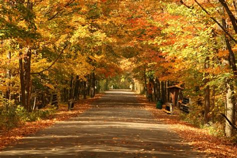 Avon, OH : Metro Park off French Creek Road west of Abbe Road photo ...