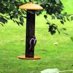 Finch Bird Feeder Placement