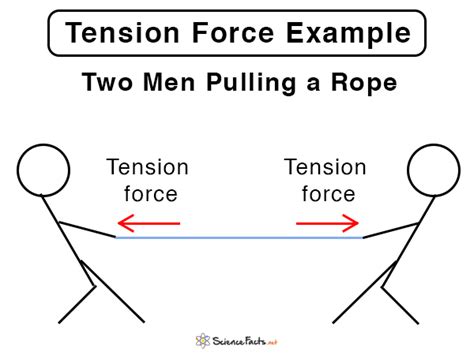 Tension (Tension Force): Definition, Formula, and Examples