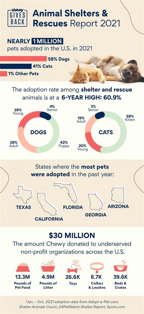 Animal Shelter Statistics 2024 - Esme Ofelia