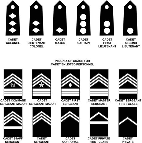 JROTC Ranks Diagram | Quizlet