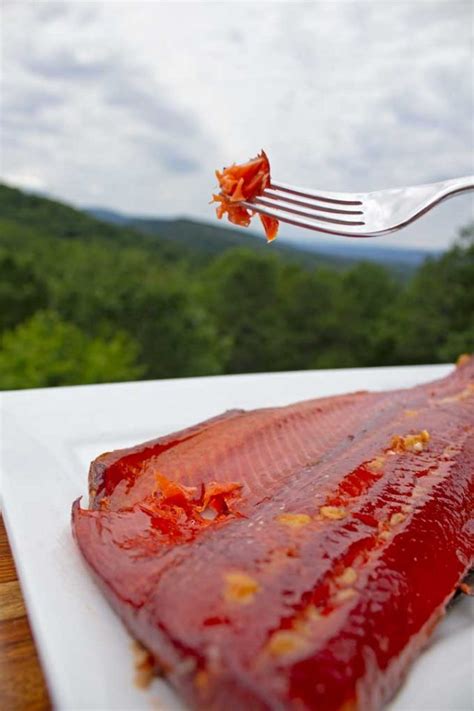 Honey Smoked Salmon {A How-To Guide