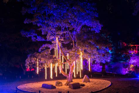 Event Lighting Design: Maymont Garden Glow - The Lighting & Sound Company