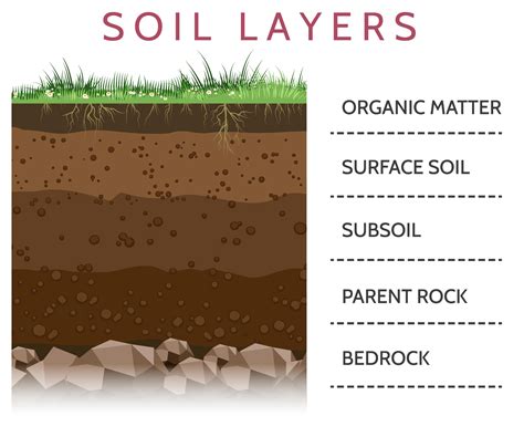 [DIAGRAM] Acid Soil Diagram - MYDIAGRAM.ONLINE