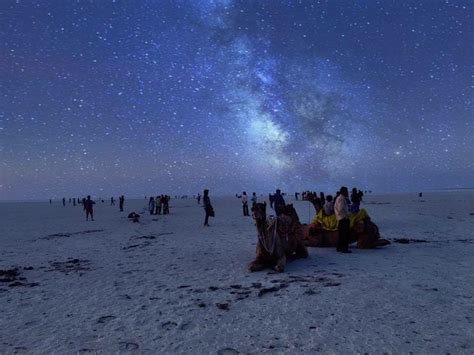 Things to do in Kutch Rann Utsav- Kutch Festival | by Rann Utsav | Medium