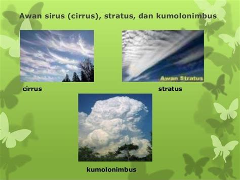 Ciri Awan Stratus - Dunia Belajar