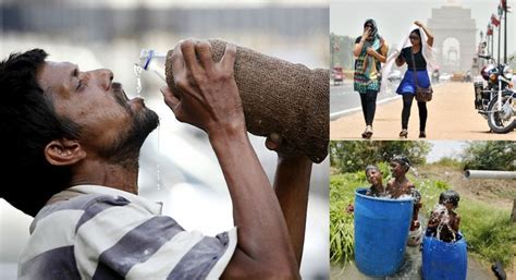 Don’t forget to fill in your water bottles this Summer! IMD warns ...