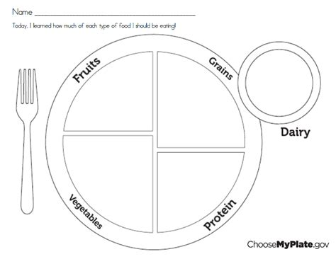 My+Food+Plate+Worksheet | My food plate, Food activities, Healthy plate