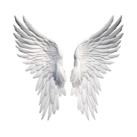 Angel wings isolated on transparent background. 24807396 PNG