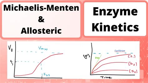 Enzyme Kinetics | Biochemistry (Michealis Menten & Allosteric) - YouTube