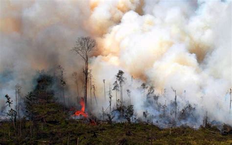 Asap Kebakaran Hutan Sudah Masuki Wilayah Banten dan Jawa - KRAKATAU RADIO