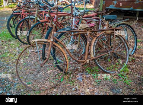 Old rusty bicycles piled together in a group decaying away, bicycle ...