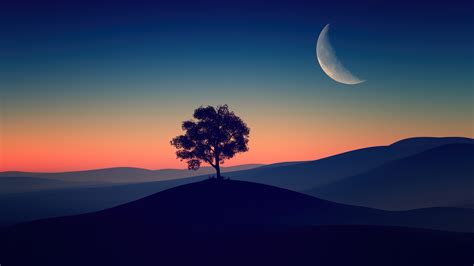 Sunset Dusk Crescent Moon Tree 4K #6600e Wallpaper iPhone Phone