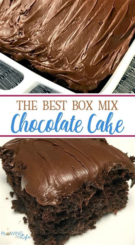 Box Mix Chocolate Cake with only a few easy ingredients added is so ...