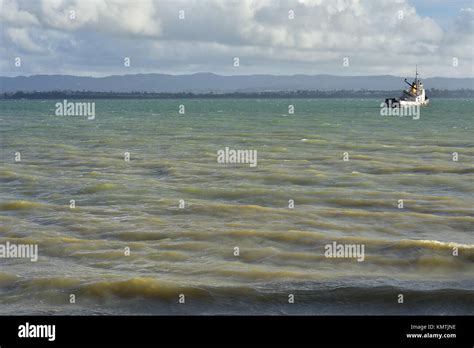 Dark black murky water hi-res stock photography and images - Alamy