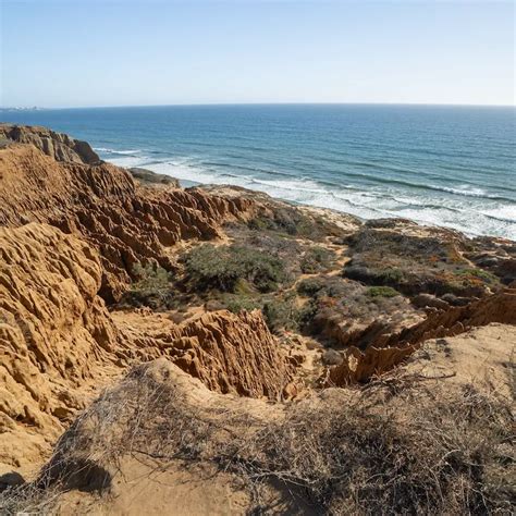 Torrey Pines Beach Trail Loop: This SD Hike is a Must!