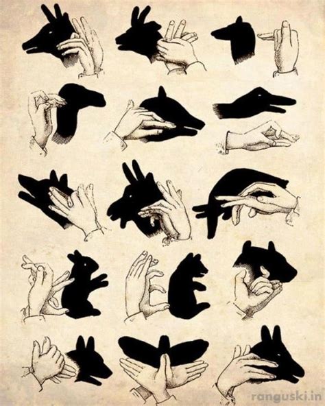 Shadow hand art | JONATHAN | Pinterest