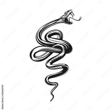 Snake tattoo, angry black viper or serpent, vector rock or biker club ...