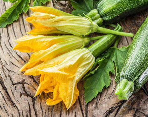 Zucchini flowers: properties and how to prepare them