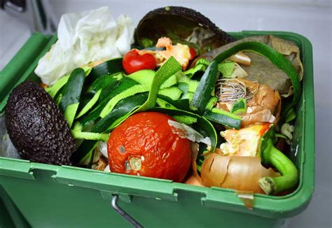 The 7 Benefits To Recycling Food Waste That Everyone Should Know