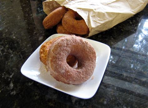 Homemade Plain Doughnuts Recipe