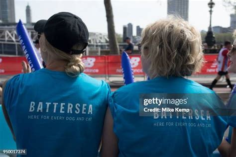 3,046 Battersea Dogs Home Stock Photos, High-Res Pictures, and Images ...