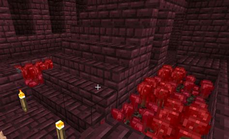 Different growth stages of Nether wart in Minecraft