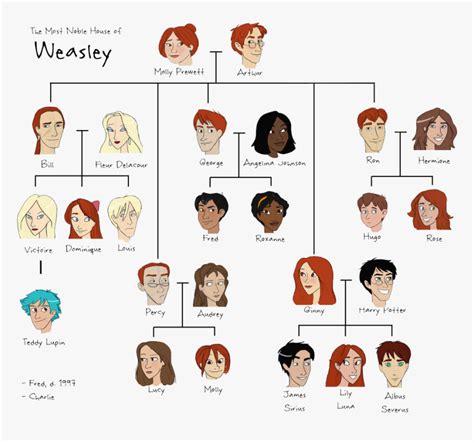 Weasley Family Tree, HD Png Download - kindpng