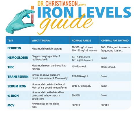 A Deep Dive On Iron | Dr. Alan Christianson