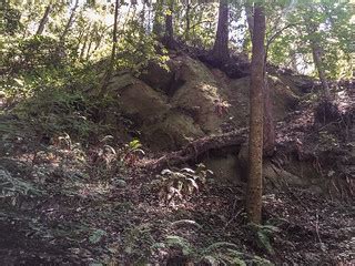 Aptos Creek Trail | Sandip Bhattacharya | Flickr