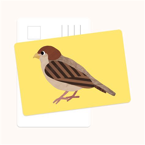 animal cards :: Behance