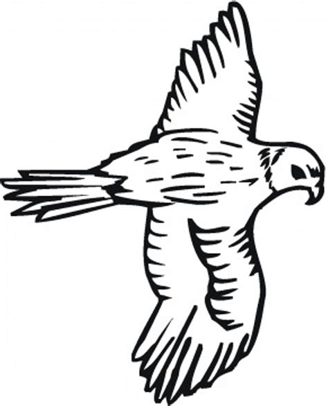 Falcon Wings Spread Coloring Pages