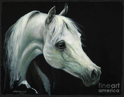 Arabian Horse Head Painting by Don Langeneckert - Pixels