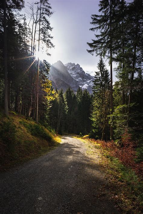 Path, mountains, rays, trees, sun, HD phone wallpaper | Peakpx