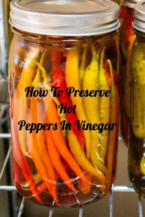 Pickled Hot Pepper Recipe (Just Vinegar) – The Bossy Kitchen | Hot ...