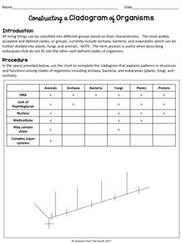 CLADOGRAM ANALYSIS - Worksheet Template Tips And Reviews